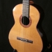 guitare cèdre palissandre des Indes