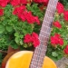 guitare pythagore