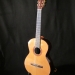 guitare cèdre palissandre des Indes