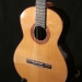 guitare cèdre palissandre des Indes